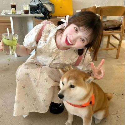 古董惊魂